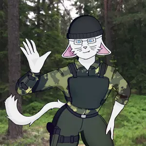 north comm2.png