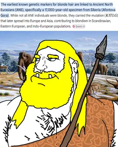 sdsds.png