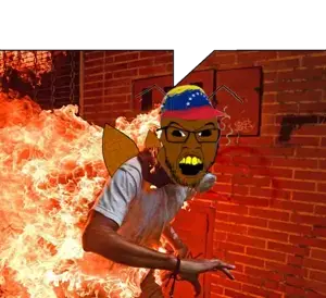 1778295461726.png