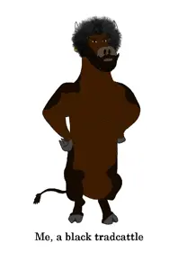tradcattle.png