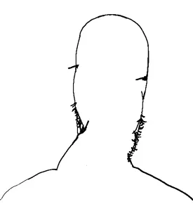 62227 - soybooru.com - cobbert glasses mouth_closed neutral stephen_colbert stubble.png