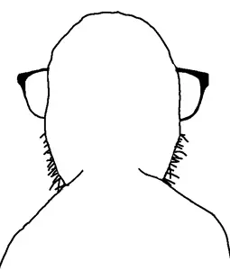 55150 - soybooru.com - dylanjak forehead_lines glasses looking_at_you open_mouth smile soyjak stubble teeth template white_background white_skin.png