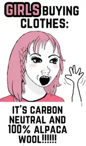 Girls_Buying_Clothes.png