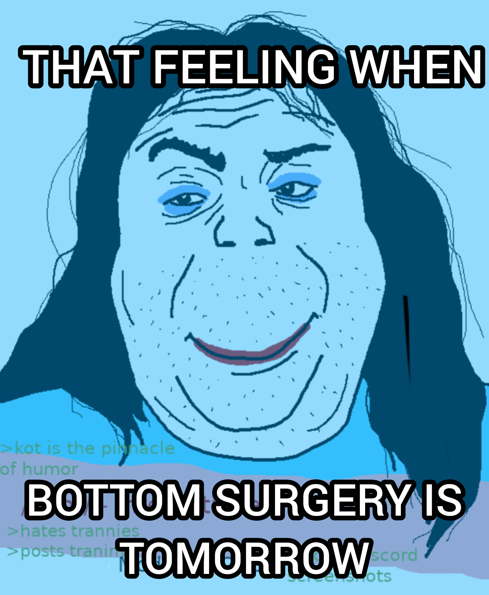 alicia, /bant/, 1soyjak, black eyes, black hair, blue, closed mouth, dead meme, discord, fat