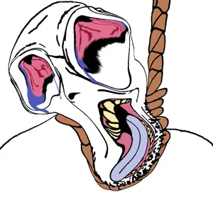 Untitled872_20260510121322.png