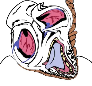 Untitled872_20260510121316.png