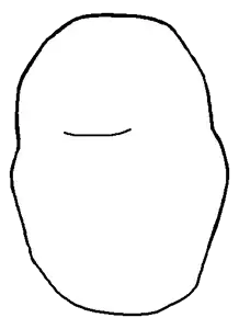 alicia bald back head.png