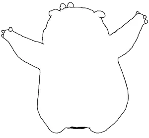 Leonard back.png