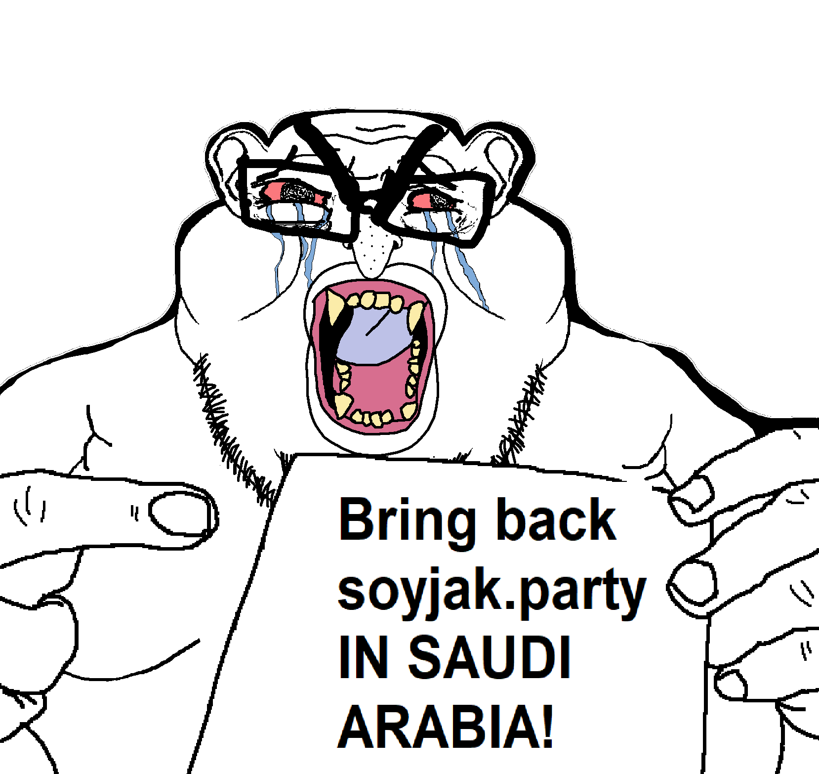 brandon, cryboy soyjak, monkeyjak, branigger, brankey, angry, bald, bloodshot eyes, bring back soyjak party saudi arabia, brownocaust