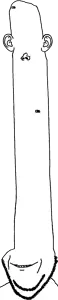 tallerimp.png