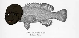 theniggerfish.png