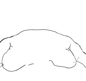 aliasedfat.png