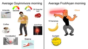 average carnivore morning.png