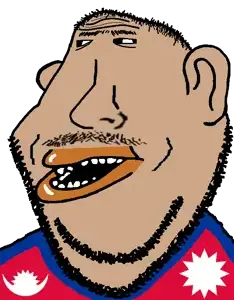 palne.png