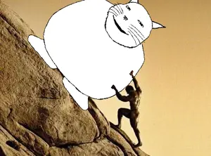 47 sin título_20260512003341.png
