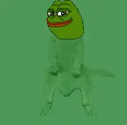 1731411581264b.gif
