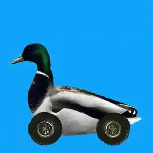 videoplayback (12).mp4