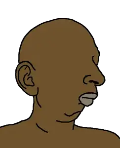 221438 - soybooru.com - bald brown_skin no_eyebrows no_glasses no_stubble pajeetjak template.png