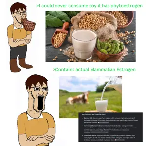 I could never drink soy it has phytoestrogen_20260514_100334_0000.png