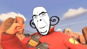 cobsonia (2).mp4