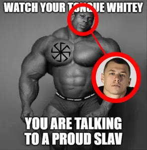 1AAA-pigg.png
