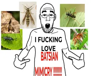 HHCAudfa8AAQFzD.jpg