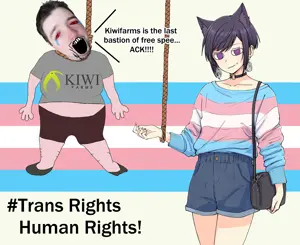 markiplier soyjak, bloodshot eyes, crying, flag, full body, hanging, kiwifarms, open mouth, paxiti, real life