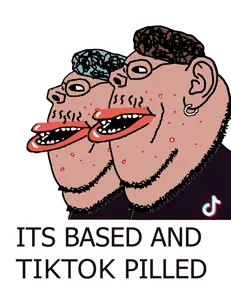 based and tok pilled.png