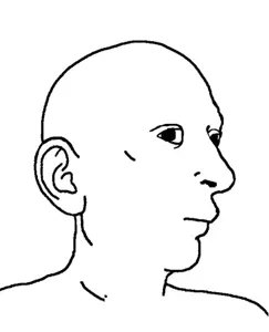 Comp 1_1.gif