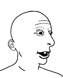 VLODGINEER.png