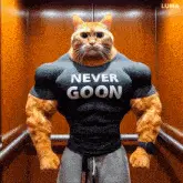 IMG_2128.gif