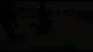 fff.mp4