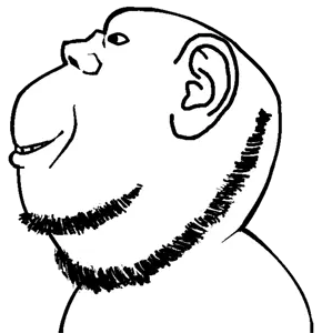 impish soyak ears, impish side ears, bald, ear, looking to the left, no glasses, nose, portrait, redraw, side view