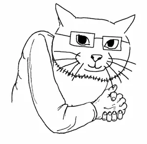 catjakwon.png
