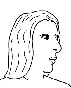 Untitled968_20260516154819.png