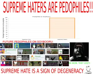 supremehaterslost.jpg