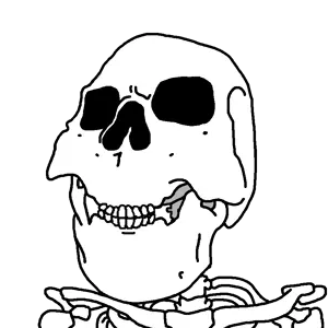 wholyjak_skeleton.png