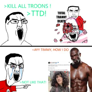 ttddichotomy.png