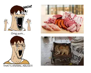 Untitled84_20260517160349.png