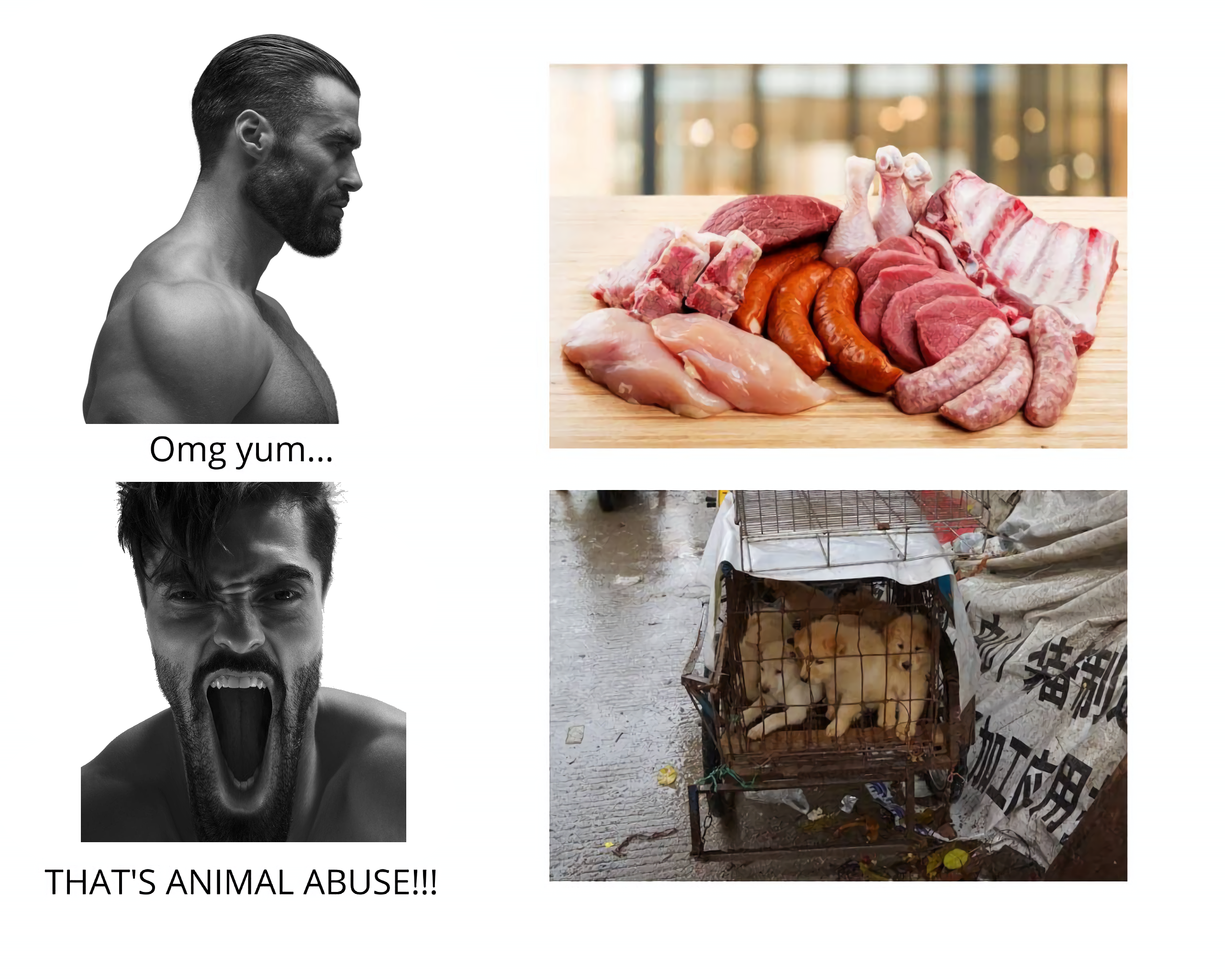 gigachad, gigayell, gigachaded, angry, animal, animal abuse, beard, brown hair, cage, carnivore