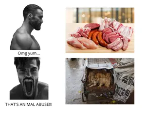 qerg.png