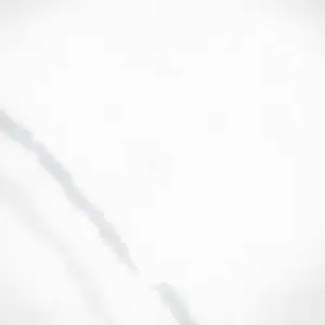 Cat.mp4