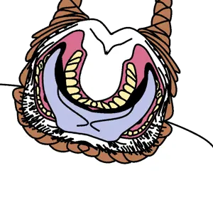 The Predator.png