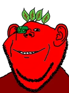 Untitled929_20260517200355.jpeg