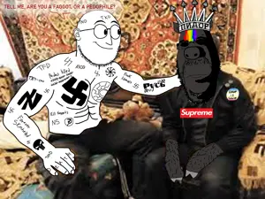 1AA111A23-pigg.png