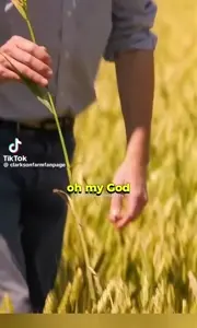 copy_D7EA8499-6589-4CA3-8816-CBD2DC4CDF10.mov
