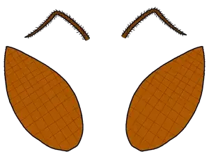 cockroach accesorium.png