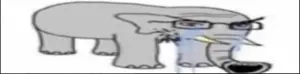 elephantjak.png
