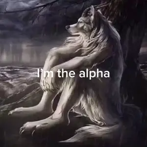 73477272.mp4