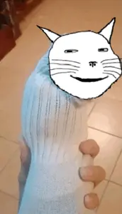 cat-in-a-sock.jpg